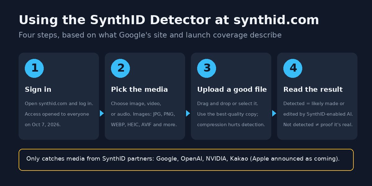 Four-step diagram of using the SynthID Detector at synthid.com: sign in, pick image, video, or audio, upload the best-quality file, then read a detected or not detected result, with a note that it only catches media from SynthID partners Google, OpenAI, NVIDIA, Kakao, and Apple soon